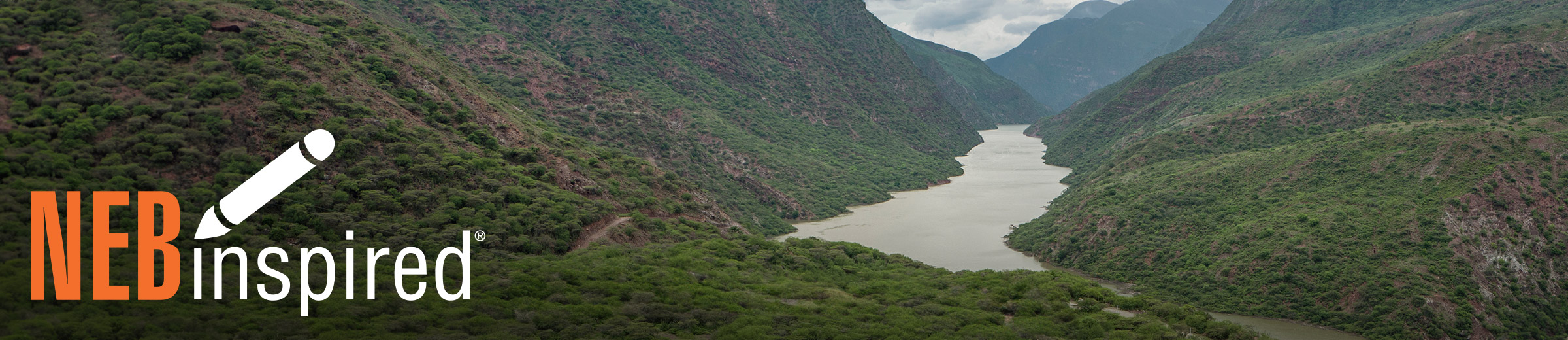 Aerial photograph of tree-covered mountains and river