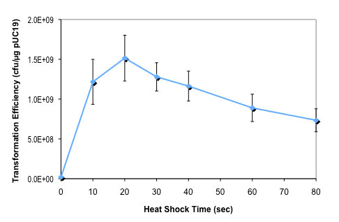 Effect of heat shock time on NEB Express competent E. coli transformation efficiency: