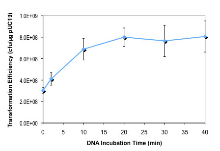 Effect of DNA incubation time on NEB Express competent E. coli transformation efficiency: