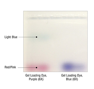 DNA Gel Loading Dye | NEB
