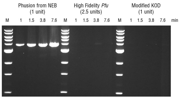 Phusion® High-Fidelity PCR Master Mix with HF Buffer | NEB