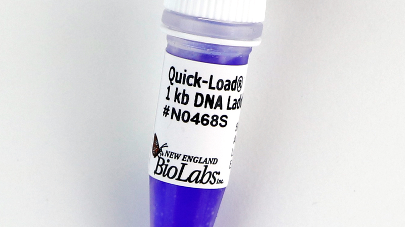 New England Biolabs (UK) Ltd - Quick-Load® 1 kb DNA Ladder