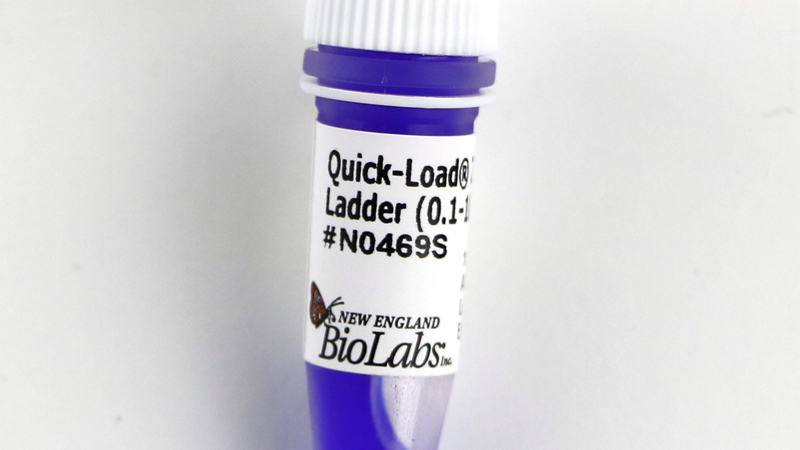 New England Biolabs (UK) Ltd - Quick-Load<sup>®</sup> 1 kb Plus DNA Ladder