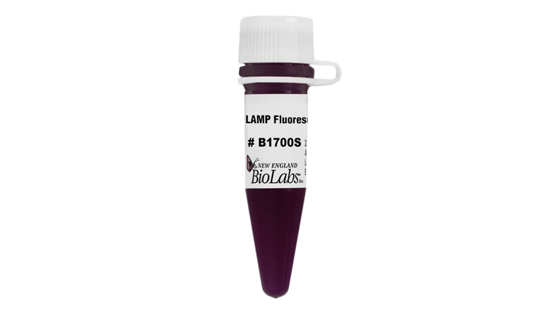LAMP Fluorescent Dye | NEB