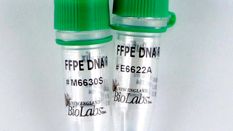 silke detail mor NEBNext® FFPE DNA Repair Mix | NEB