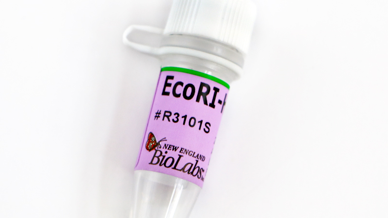 ☆安心の定価販売☆】 EcoRV-HF BioLabs aso 2-4303-27 医療 研究用機器