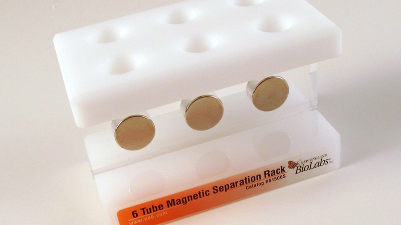 6-Tube Magnetic Separation Rack | NEB