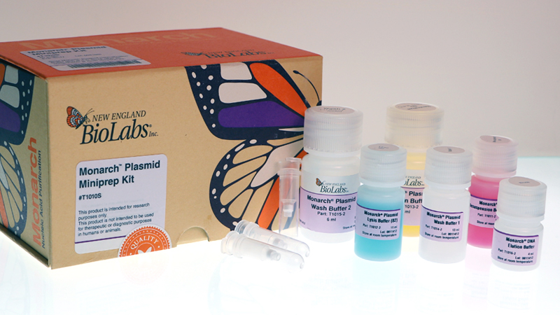 Monarch® Plasmid Miniprep Kit | NEB