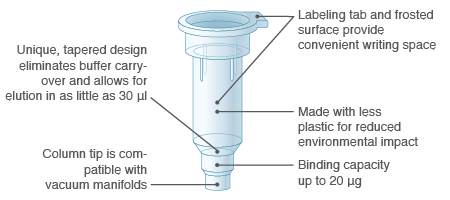 Plasmid Purification | NEB