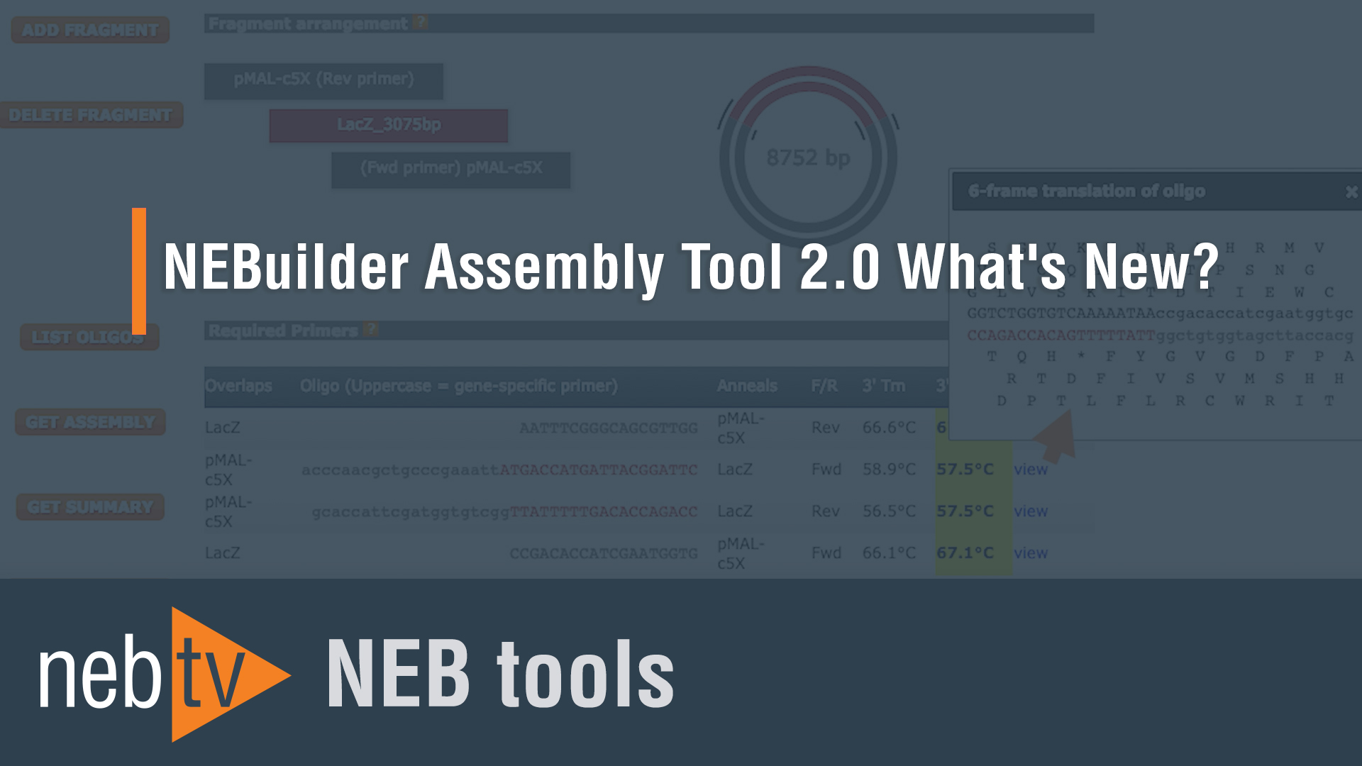 Can I Use other primer design tools such as SnapGene for Gibson Assembly,  to design primers for NEBuilder HiFi DNA Assembly? | NEB