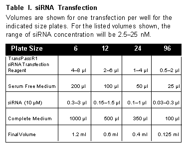 siRNA Transfection Protocol for TransPass R1 | NEB