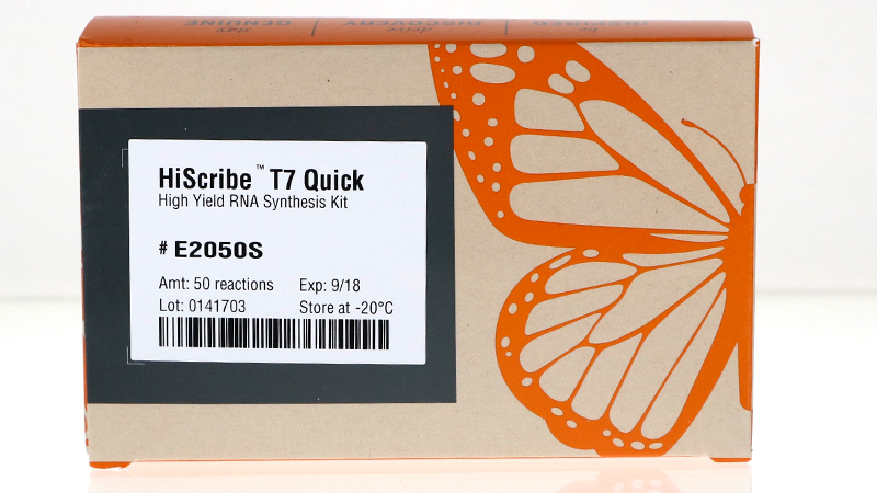 HiScribe® T7 Quick High Yield RNA Synthesis Kit | NEB