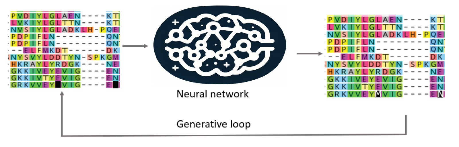 Simplified graphic showing deep learning models for enzyme discovery