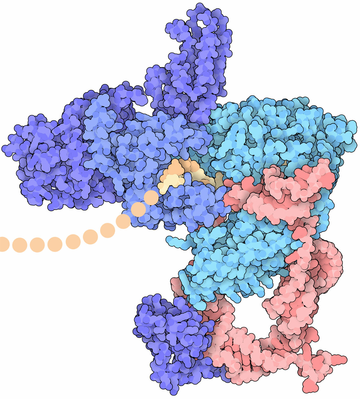 3D molecular model in blue, aqua and pink clusters