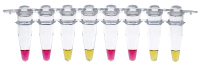 WarmStart Colorimetric LAMP 2X Master Mix (DNA & RNA)