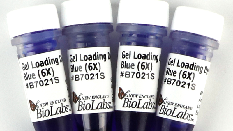 Gel Loading Dye, Blue (6X) | NEB