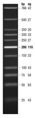 Quick-Load Purple Low Molecular Weight DNA Ladder | NEB